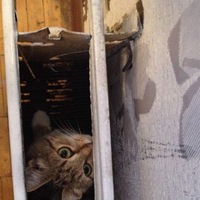 Андрей Прибылов | Нахабино