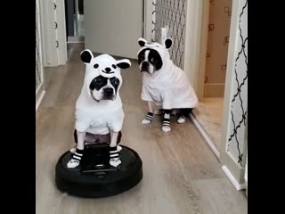 Робот-пылесоc iRobot Roomba i7