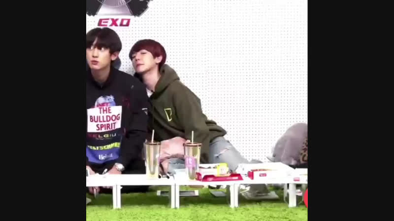 Just baek 4