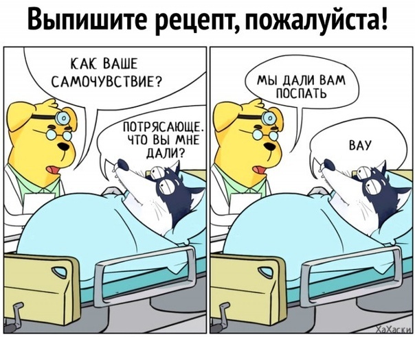 ePQcQeKJ55s.jpg