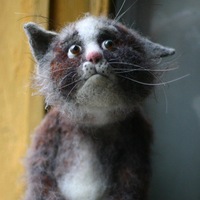 Елена Пустовалова