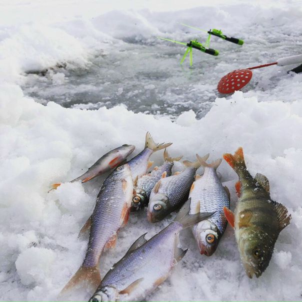 Рыбалка — Озернинское водохранилище, Московская область, 55.789, 36.164