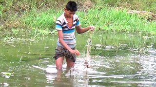 Net Technology Fishing in Village Cannal | Net Country Fish Hunting by little boy #TrueNature