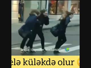 🎬 Когда кто-то на улице включил вентилятор 😎