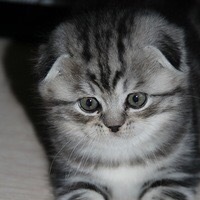 Вера Богданова | Сосновый Бор