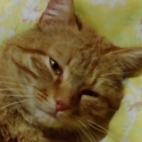 Сергей Сахаров | Санкт-Петербург