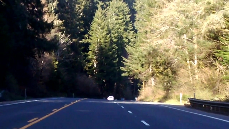 Driving back home