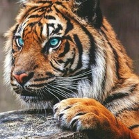 Алеся Федорова | 
