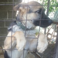 Владислав Павленко | Талас