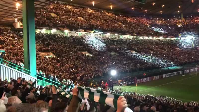 YNWA light show at Paradise