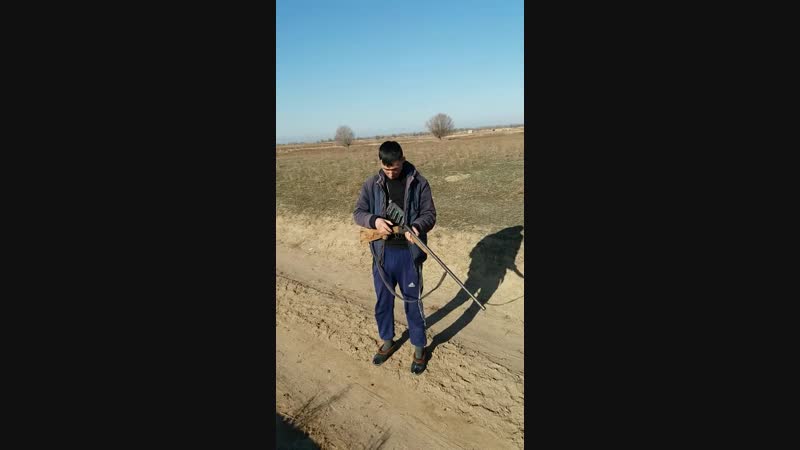Палчан