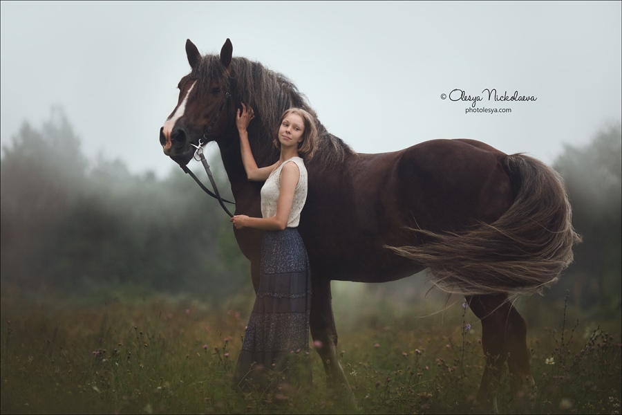 брак лошадь лошадь. брак лошадь лошадь. книги про лошадей художественные. брак лошадь лошадь. брак лошадь лошадь.