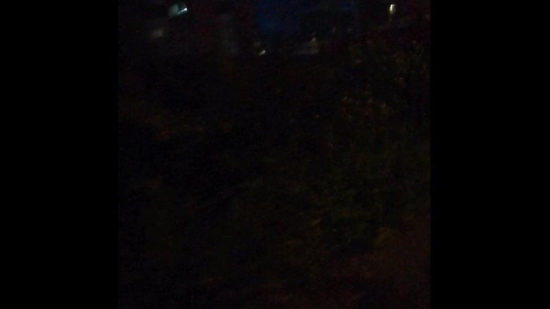 сдр