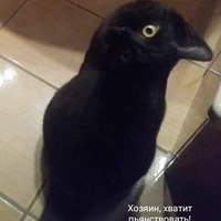 Василий Филимонов | 