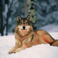 Денис Бурцев | 