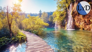 Música Relajante y Sonidos de la Naturaleza | Música de Relajación y Meditación | Música para Dormir
