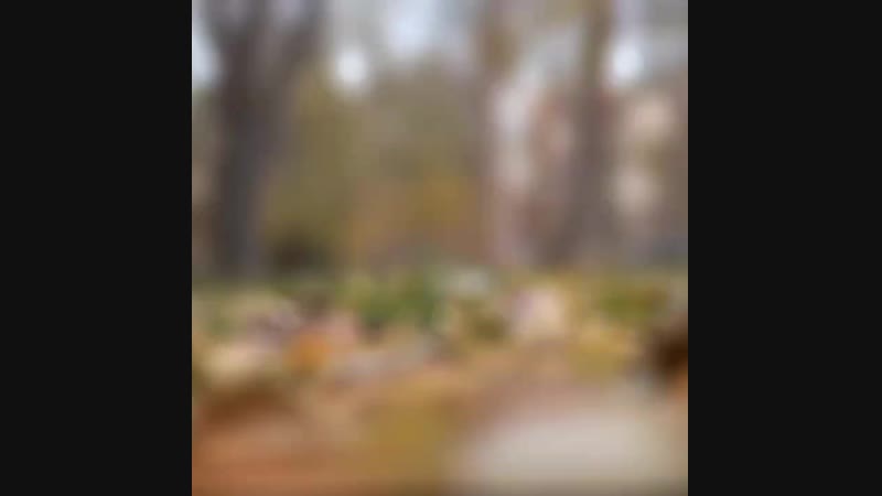 VID_75180428_192757_348.mp4