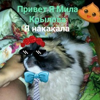 Настя Крылова | Воткинск