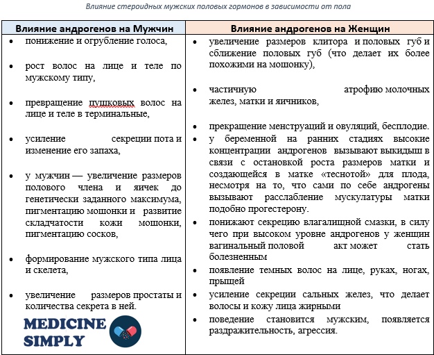 Андрогенная активность мужских половых гормонов и синтетических производных Андрогенная активность мужских половых гормонов и синтетических производных