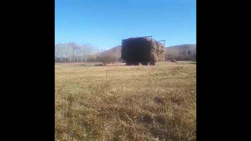 20181013_150516.mp4