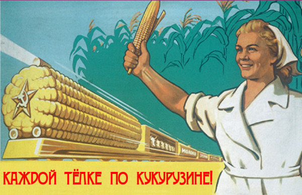 Многие не знают, но особая любовь Хрущева к кукурузе началась после его поездки в Америку. Там Никита Сергеевич увидел откормленную кукурузой корову и решил, что СССР этот полезный злак послужит еще лучше, и очень скоро советские аграрии смогут улучшить рацион граждан - молока и мяса станет гораздо больше. Вскоре кукурузы стало настолько много, что из нее начали печь хлеб, делать консервацию; многие елочные игрушки представляли собой кукурузный початок, а на маскарадах часто встречались костюмы излюбленного растения. Хрущев называл кукурузу «царицей полей», за что его в шутку прозвали «кукурузником».