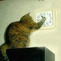 Саша Лысенко | Киев