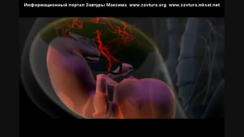Научный фильм «День рождения»