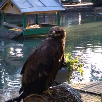 Виктория Сухорученкова | Москва