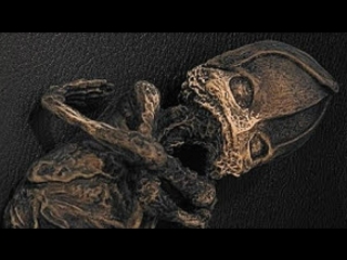 Кто они эти зелёные и серые человечки? НЛО или Гости иных миров?