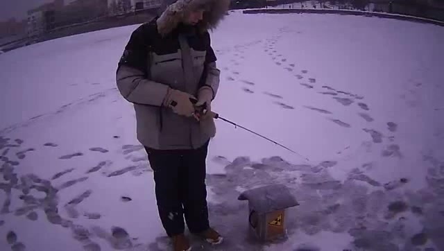 рибы нет