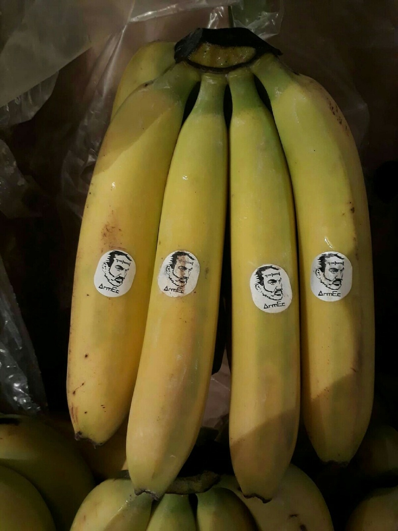 https://pp.userapi.com/c848532/v848532194/f5d36/h-yplSVC3zI.jpg