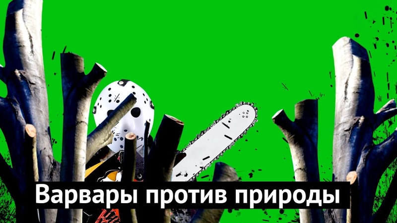 Как чиновники уничтожают деревья