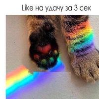 Полина Харитонова | Оренбург
