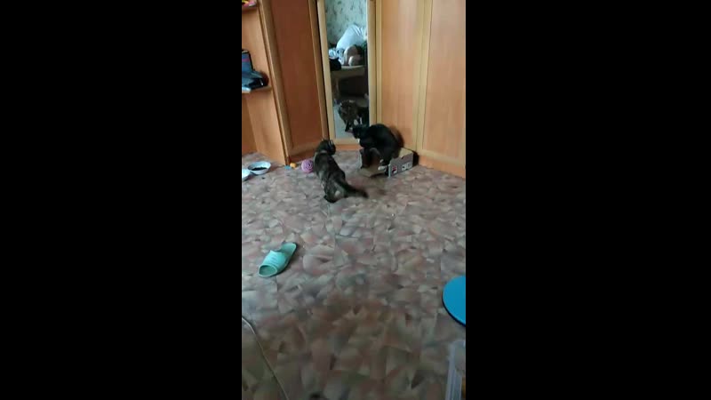 фрося ругает алесю