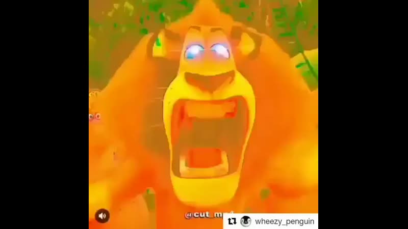 Nigga.mp4