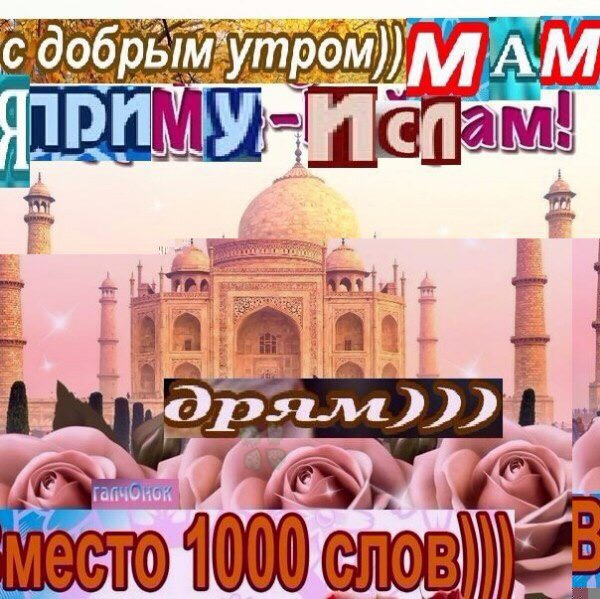 BRPvdDXvHW0.jpg