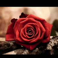 Мерьем Асанова |