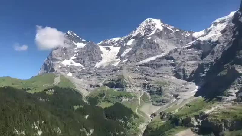 VID_79010217_175338_211.mp4