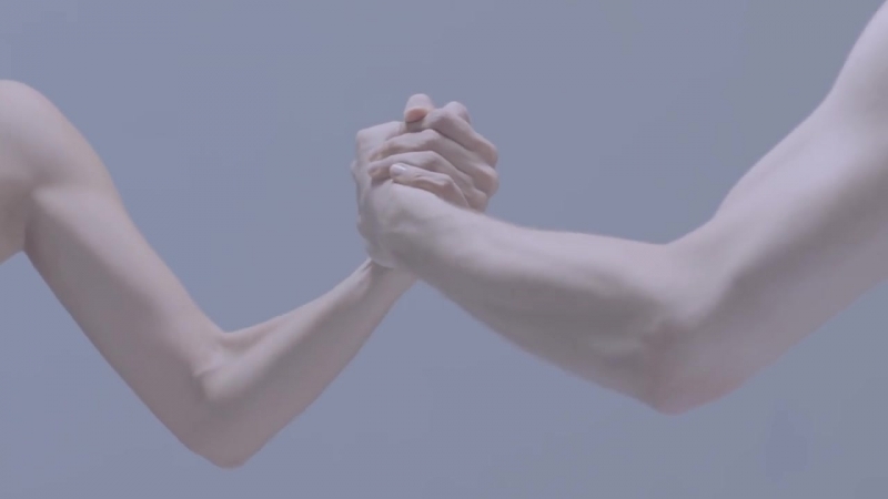 Ballet Anatomy- Hands