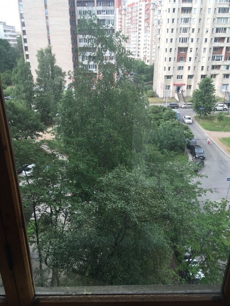 СОБСТВЕННИК. <br>Сдается комната в 5 х минутах от ст. метро Пионерская. <br>Комната 17 кв м по адресу: аллея Поликарпова. В коммунальной квартире, в квартире 6 комнат.Места общего пользования в хорошем состоянии (сделан ремонт), имеется холодильник, стиральная машинка, микроволновка, кухонная утварь, пылесос, утюг. <br>Комната сдаётся для девушки. <br>Стоимость: 12 т.р. в месяц (ку уже включены). <br>залог 6 т.р. <br>По всем вопросам в л.с - фото Фото: СОБСТВЕННИК. <br>Сдается комната в 5 х минутах от ст. метро Пионерская. <br>Комната 17 кв м по адресу: аллея Поликарпова. В коммунальной квартире, в квартире 6 комнат.Места общего пользования в хорошем состоянии (сделан ремонт), имеется холодильник, стиральная машинка, микроволновка, кухонная утварь, пылесос, утюг. <br>Комната сдаётся для девушки. <br>Стоимость: 12 т.р. в месяц (ку уже включены). <br>залог 6 т.р. <br>По всем вопросам в л.с
