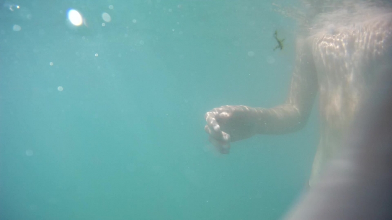2014-01-05 16-04-32.MOV