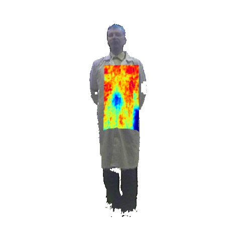THz and thermal video data set, Thermal imaging, Terahertz images, THz, Terahertz