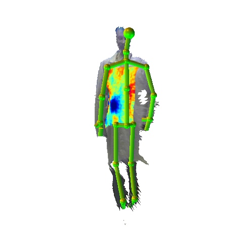 THz and thermal video data set, Thermal imaging, Terahertz images, THz, Terahertz
