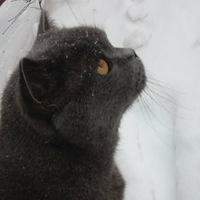 Софья Жукова | 