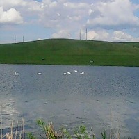 Альберт Галеев | 