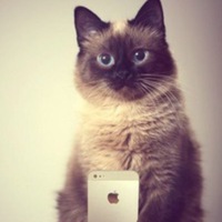 Дима Калмыков | Каргополь