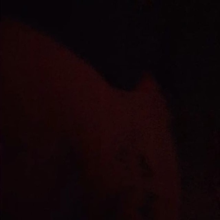 Renet.ret video