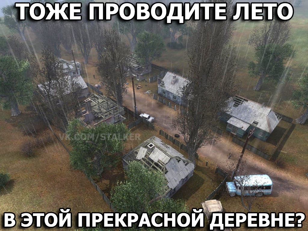 g7bYnJ4P1TM.jpg