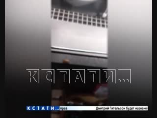 Тараканьи бега по прилавкам в продуктовом магазине в Приокском районе