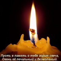 Ольга Дмитриева